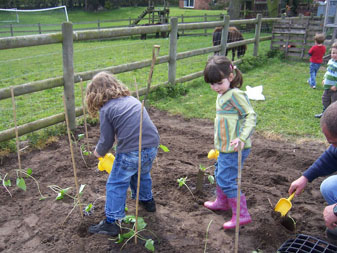 On the Farm