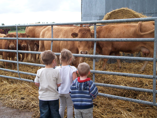 On the Farm