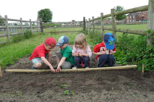 On the Farm