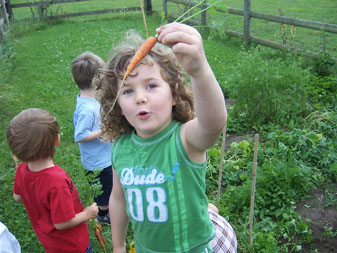 On the Farm